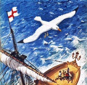 Albatros da English School