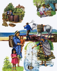 Tutti i tipi di cesti