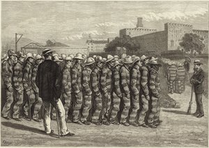 Schizzi americani