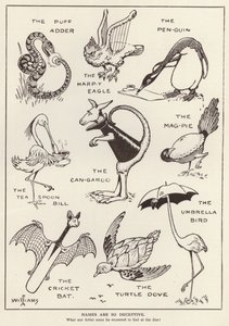 Animali divertenti