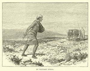 Un seminatore orientale