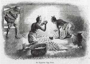 Un forno egizio per uova (incisione) da English School