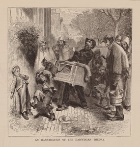 Illustrazione della teoria darwiniana (incisione) da English School