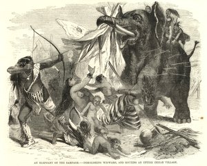 Un elefante in furia
