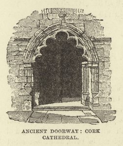 Antico portale, Cattedrale di Cork da English School
