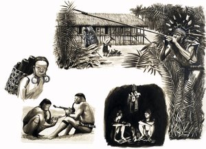 Popoli antichi del mondo: Cacciatori con cerbottana del Borneo da English School