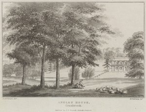 Casa Angley