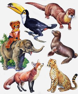Montaggio di animali da English School