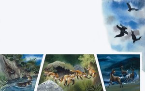 Animali che giocano da English School