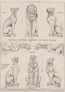 Animali tra i dormitori della facciata principale del nuovo Museo di Storia Naturale, South Kensington da English School