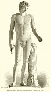 Antinoo del Belvedere, trovato sull