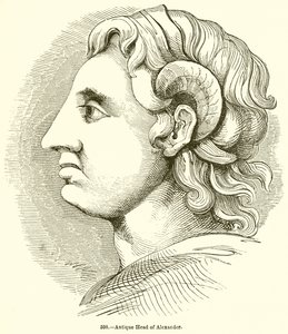 Antica testa di Alessandro