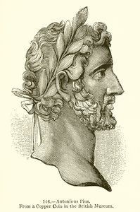 Antonino Pio da English School