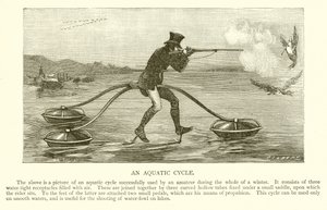 Ciclo acquatico