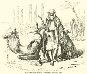 Conduttore di cammelli arabo, Genesi, xxxvii, 25 da English School