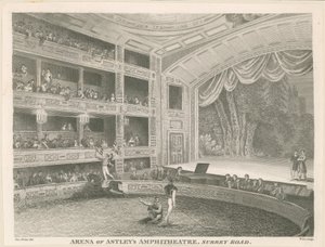 Arena dell