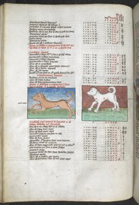 Canis maior e Canis minor raffigurati come cani, 