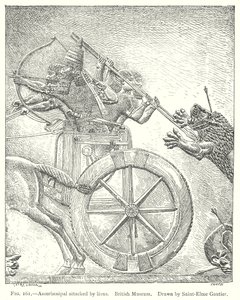 Assurbanipal attaccato dai leoni. British Museum (incisione) da English School