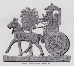 Carro assiro (incisione) da English School