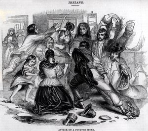 Attacco a un deposito di patate in Irlanda, c.1845 da English School