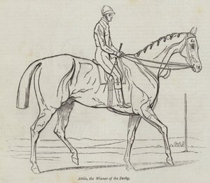 Attila, il Vincitore del Derby (incisione)