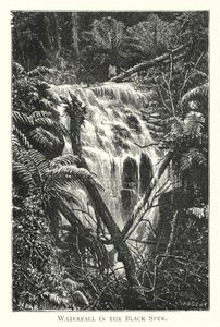 Australia: Cascata nel Black Spur da English School