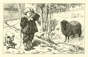 Baa, Baa, Pecora Nera da English School
