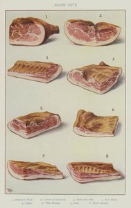 Tagli di pancetta da English School