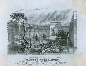 Bakers Pheasantry, Chelsea