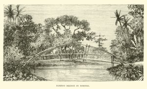 Ponte di bambù nel Borneo da English School