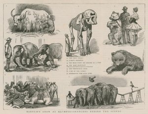 Spettacolo di Barnum a Olympia - schizzi dietro le quinte da English School