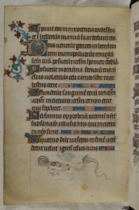 Scena di bas-de-page di un gallo e un serpente alato che combattono, con una lettera iniziale decorata 