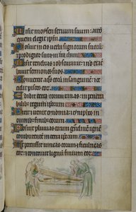 Scena di bas-de-page di un cavaliere, che era diventato un cistercense e non poteva imparare altro latino se non le parole 