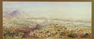 Battaglia di Tamai, Sudan 1884 da English School