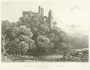 Castello di Berry Pomeroy, Devonshire