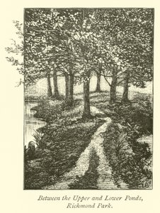 Tra i Laghetti Superiore e Inferiore, Richmond Park da English School