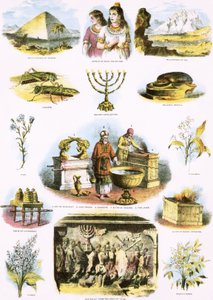 Illustrazioni bibliche