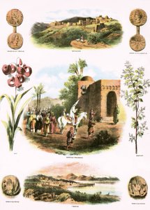 Illustrazioni bibliche da English School