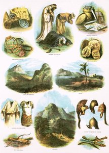 Illustrazioni bibliche da English School
