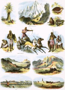 Illustrazioni bibliche da English School