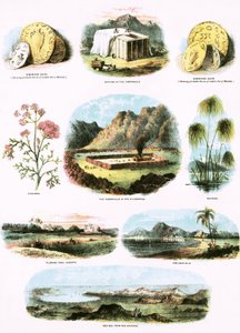 Illustrazioni bibliche da English School