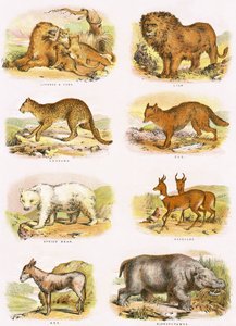 Storia naturale biblica