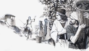 Vigneto biblico