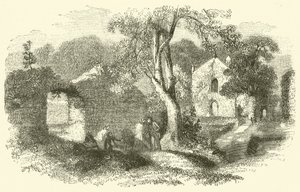 Abbazia di Bindon da English School
