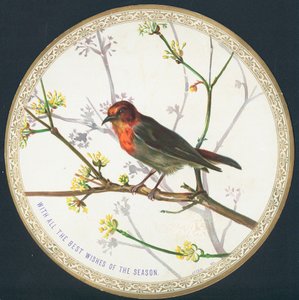 Uccello, Cartolina di Natale da English School