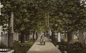 Birmingham: Viale Harborne