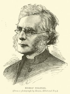 Bishop Colenso da English School