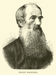 Vescovo Hadfield da English School