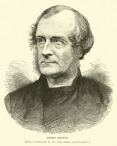 Vescovo Selwyn da English School