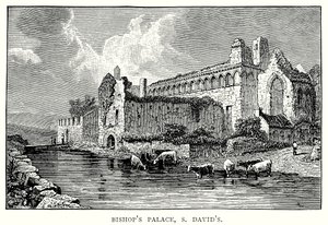 Palazzo del Vescovo, S David (incisione) da English School